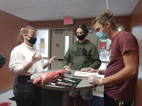 Students work in teams to learn about the arm